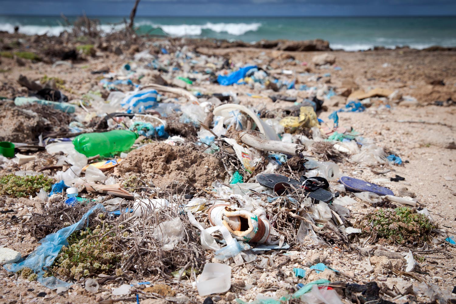Polluted beach covered in plastic waste, symbolizing the devastating impact of throwaway plastic on oceans, wildlife, and human health, as highlighted in a report released on November 12, 2024.